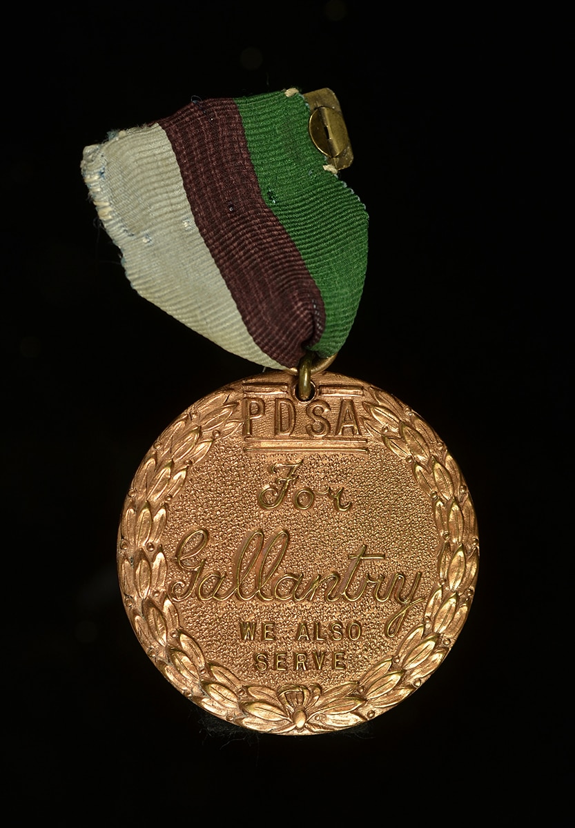 1952-2-1 The Dickin Medal presented to Winkie the Pigeon